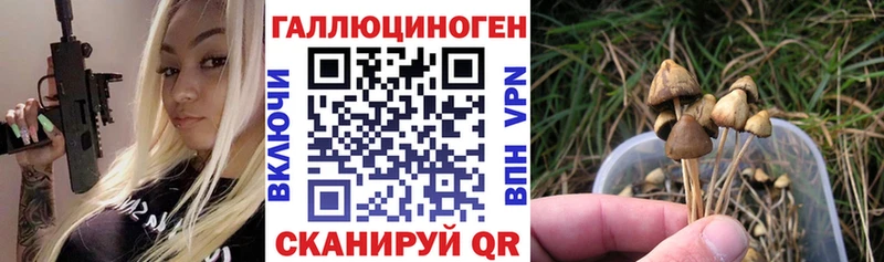 Купить  Ершов  Галлюциногенные грибы прущие грибы 